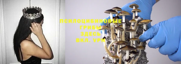 ешки Волоколамск