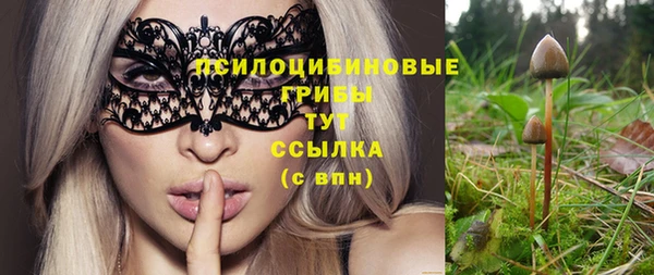 ешки Волоколамск