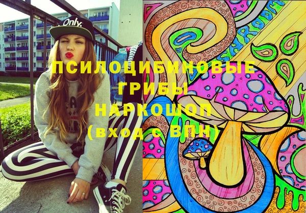 ешки Волоколамск