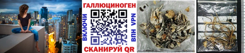 Галлюциногенные грибы мухоморы  Купить закладки  Зеленогорск 